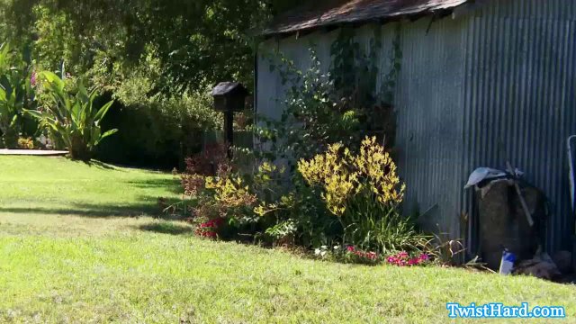 Превью Симпатичный сосед устроил жаркий секс с телочкой прямо в саду № 13704